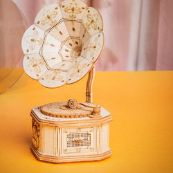 3D Wooden Puzzle - Gramophone