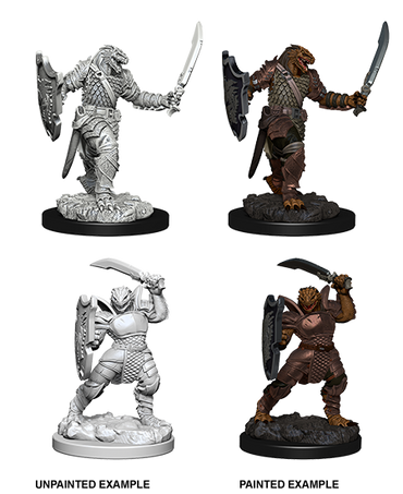 D&D Nolzur's Marvelous Miniatures W5: Dragonborn Paladin (Female)
