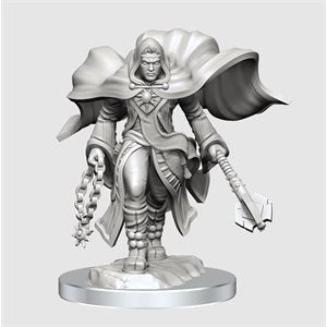 D&D Nolzur's Marvelous Miniatures W20: Aasimar Cleric Male