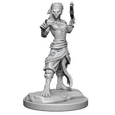 D&D Nolzur's Marvelous Miniatures W20: Shifter Fighter