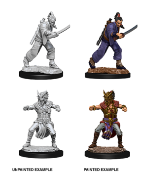 D&D Unpainted Miniatures: Human Monk (Male)