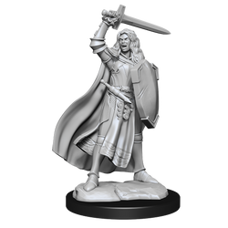 Pathfinder Unpainted Miniatures: Female Human Champion