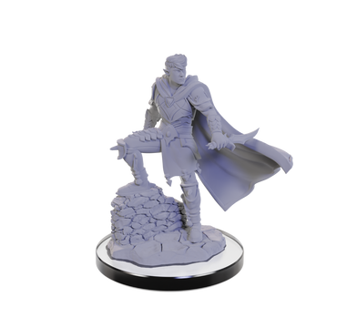Critical Role Miniatures: Xhorhasian Mage & Prowler