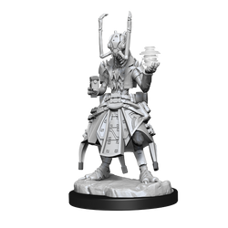 Starfinder Unpainted Miniatures: Shirren Technomancer