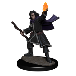 Pathfinder Unpainted Miniatures: Male Elf Sorcerer