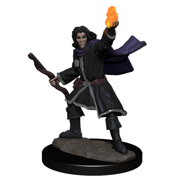 Pathfinder Unpainted Miniatures: Male Elf Sorcerer