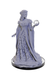 Critical Role Miniatures: Xhorhasian Mage & Prowler