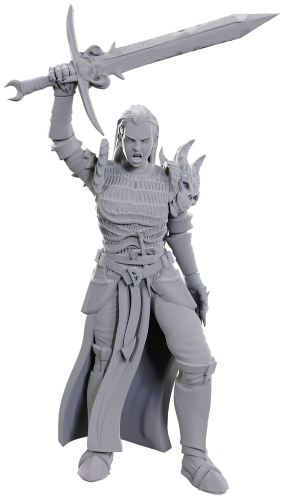 WizKids Unpainted Miniatures: Blackguard