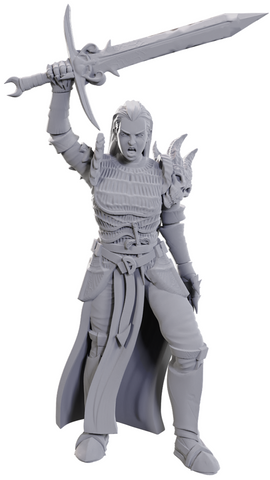 WizKids Unpainted Miniatures: Blackguard
