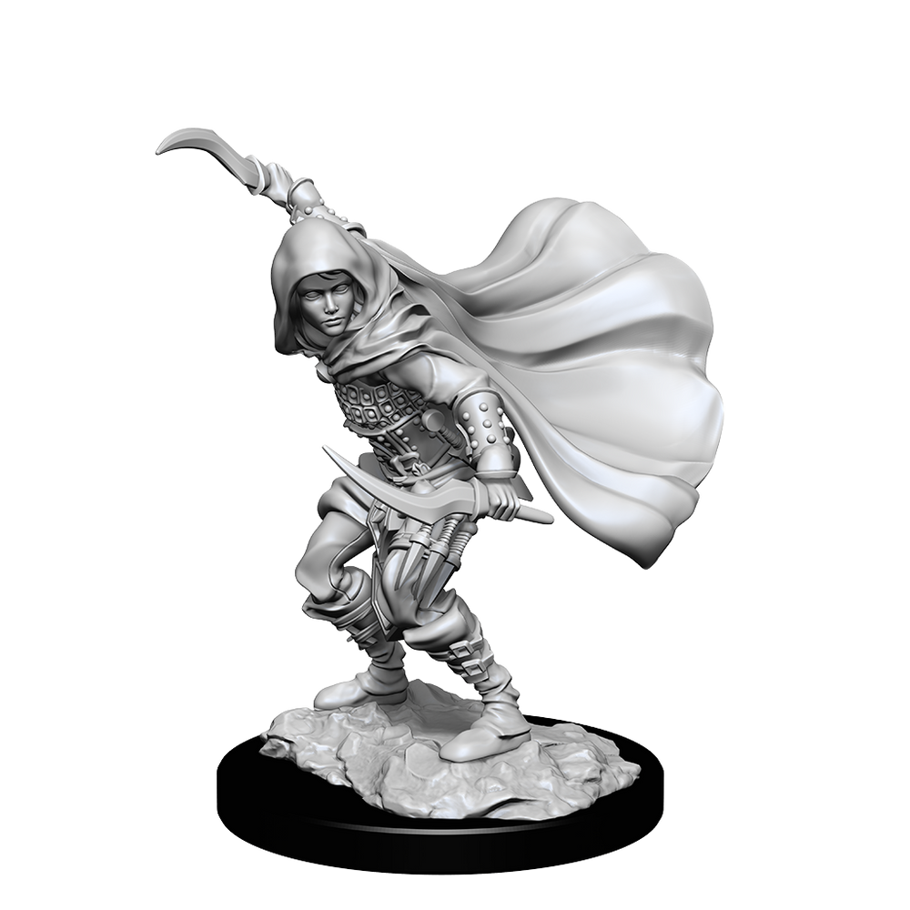 Pathfinder Unpainted Miniature: Human Rogue Female