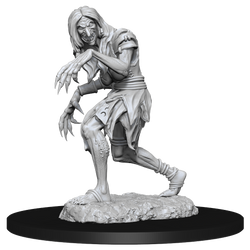 Pathfinder Unpainted Miniatures: Annis & Green Hag