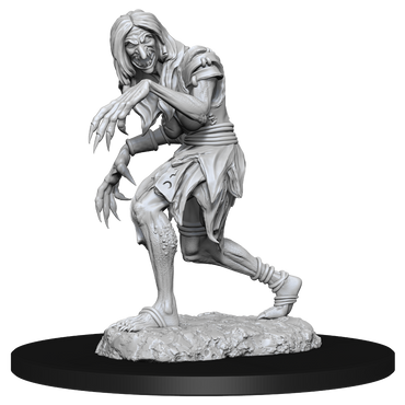 Pathfinder Unpainted Miniatures: Annis & Green Hag