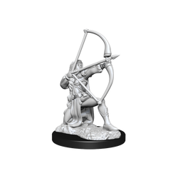 Pathfinder Unpainted Miniatures: Human Fighter Female