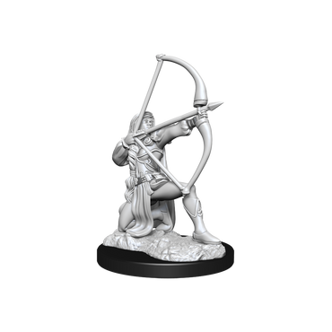 Pathfinder Unpainted Miniatures: Human Fighter Female