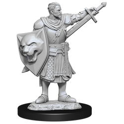 Pathfinder Unpainted Miniatures: Male Human Champion