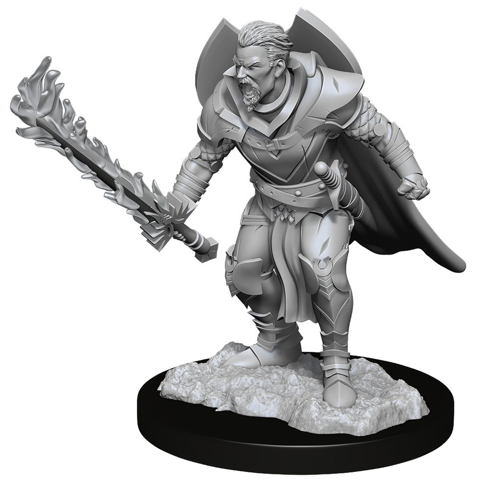 Pathfinder Unpainted Miniatures: Male Human Champion