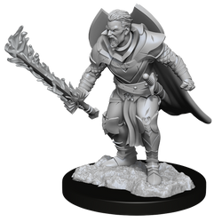 Pathfinder Unpainted Miniatures: Male Human Champion