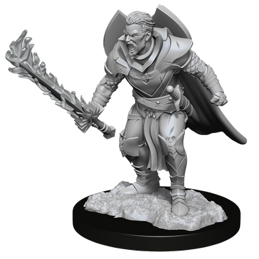 Pathfinder Unpainted Miniatures: Male Human Champion