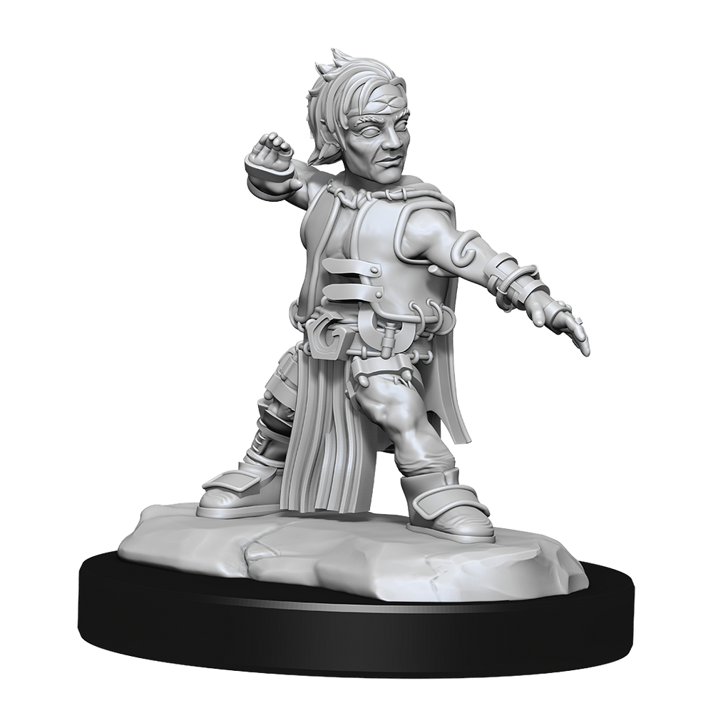 Pathfinder Unpainted Miniatures: Male Halfling Monk