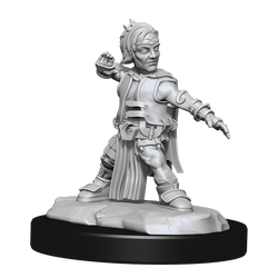 Pathfinder Unpainted Miniatures: Male Halfling Monk