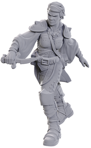 WizKids Unpainted Miniatures: Swashbuckler
