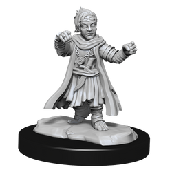 Pathfinder Unpainted Miniatures: Male Halfling Monk