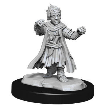 Pathfinder Unpainted Miniatures: Male Halfling Monk