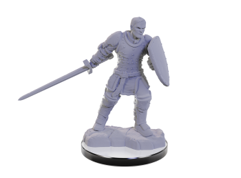 WizKids Unpainted Miniatures: Reborn Paladin/Warlock