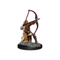 Pathfinder Unpainted Miniatures: Human Fighter Female