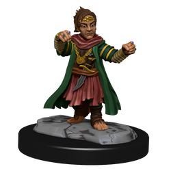 Pathfinder Unpainted Miniatures: Male Halfling Monk