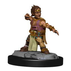 Pathfinder Unpainted Miniatures: Male Halfling Monk
