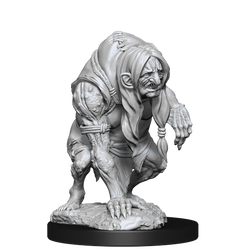 Pathfinder Unpainted Miniatures: Annis & Green Hag