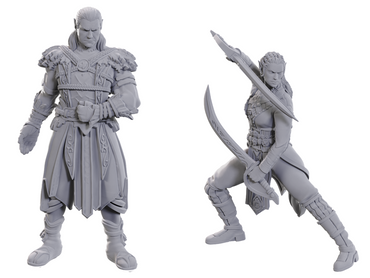 D&D Unpainted Miniatures: Special Edition Baldur's Gate 3 - Jaheria & Halsin