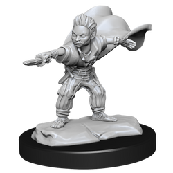 Pathfinder Unpainted Miniatures: Male Halfling Wizard