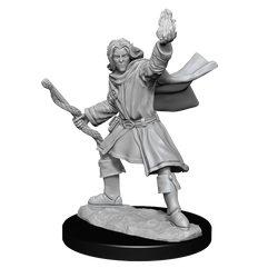 Pathfinder Unpainted Miniatures: Male Elf Sorcerer