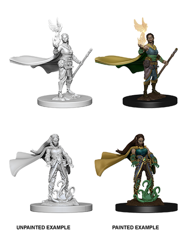 D&D Nolzur's Marvelous Miniatures: Elf Druid (Female)