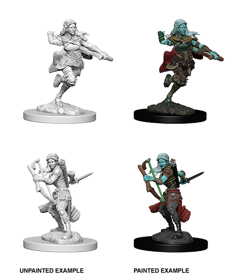 D&D Nolzur's Marvelous Miniatures: Air Gensai Rogue (Female)