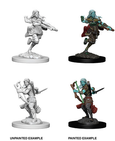 D&D Nolzur's Marvelous Miniatures: Air Gensai Rogue (Female)