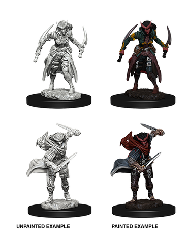 D&D Nolzur's Marvelous Miniatures: Tiefling Rogue (Female)