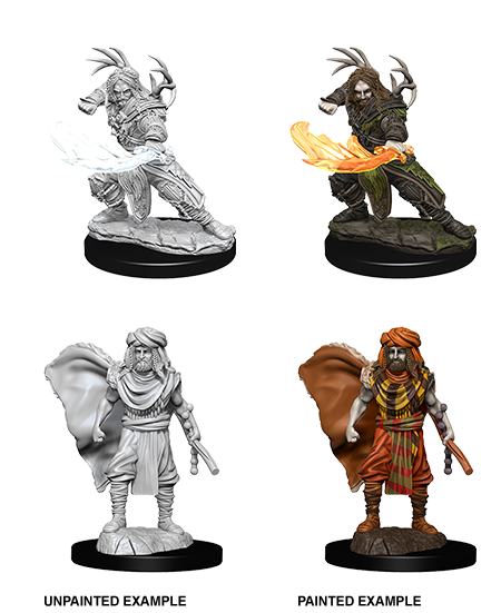 D&D Nolzur's Marvelous Miniatures: Human Druid (Male)