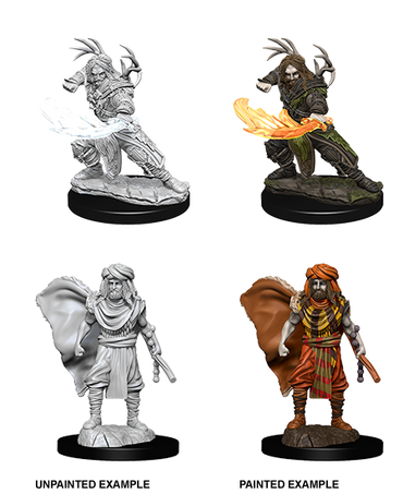 D&D Nolzur's Marvelous Miniatures: Human Druid (Male)