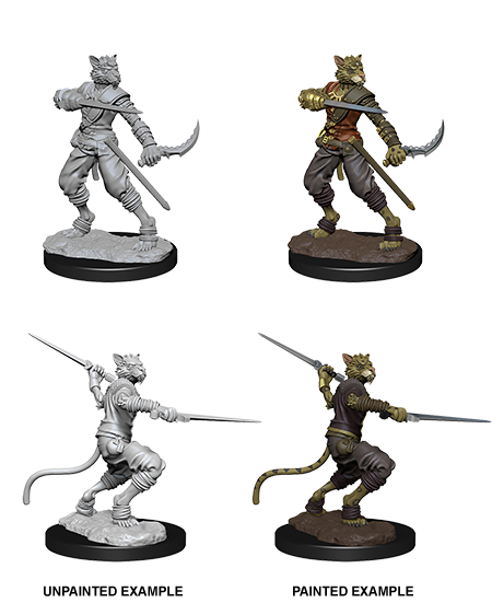 D&D Nolzur's Marvelous Miniatures: Tabaxi Rogue (Male)