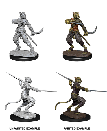 D&D Nolzur's Marvelous Miniatures: Tabaxi Rogue (Male)
