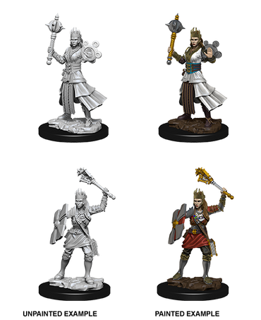 D&D Nolzur's Marvelous Miniatures: Human Cleric (Female)