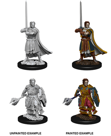 D&D Nolzur's Marvelous Miniatures: Human Cleric (Male)