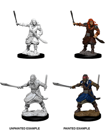 D&D Nolzur's Marvelous Miniatures: Bandits