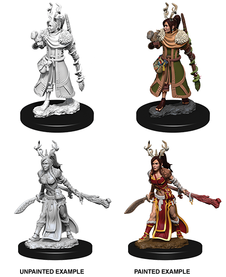D&D Nolzur's Marvelous Miniatures: Human Druid (Female)