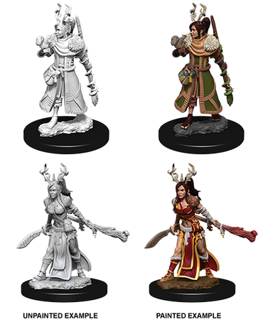 D&D Nolzur's Marvelous Miniatures: Human Druid (Female)