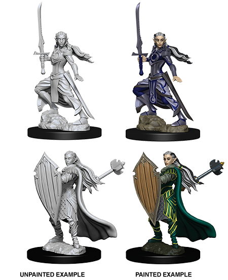 D&D Nolzur's Marvelous Miniatures: Elf Paladin (Female)
