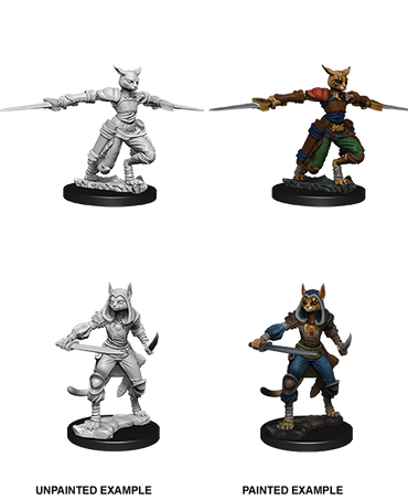 D&D Nolzur's Marvelous Miniatures: Tabaxi Rogue (Female)